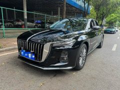 Hongqi H5 2023 2.0T Automatic Zhilianqichang Edition - фото 1