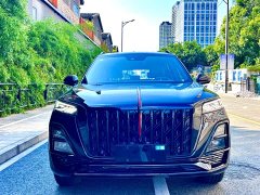 Hongqi HS5 2.0T two-wheel drive Xuanying Edition - фото 4