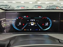 Ford EADO 2024 PLUS Blue Whale NE 1.4T GDI DCT High Energy Edition - фото 12