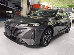 Ford Eado 1.5T GDI automatic flagship - фото 1