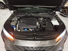 Ford Eado 1.5T GDI automatic flagship - фото 20