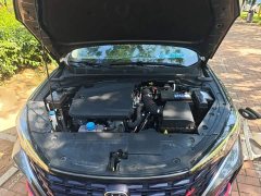 Ford Eado Enjoy Edition PLUS Blue Whale NE 1.4T GDI DCT Premium Edition - фото 20
