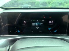 Ford EADO 2020 PLUS Blue Whale NE 1.4T GDI DCT Premium Type - фото 12