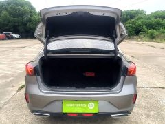 Ford EADO 2020 PLUS Blue Whale NE 1.4T GDI DCT Premium Type - фото 19