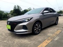 Ford EADO 2020 PLUS Blue Whale NE 1.4T GDI DCT Premium Type - фото 2