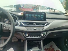 Ruicheng CC Blue Whale Edition 1.5T DCT Luxury - фото 13