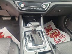 Ruicheng CC Blue Whale Edition 1.5T DCT Luxury - фото 14