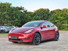 Tesla Model Y Performance high-performance all-wheel drive version - фото 1