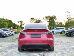 Tesla Model Y Performance high-performance all-wheel drive version - фото 6