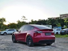Tesla Model Y Performance high-performance all-wheel drive version - фото 7
