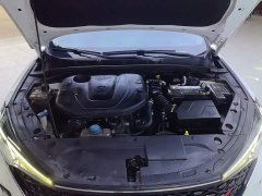 Changan Eado 2020 PLUS Blue Whale NE 1.4T GDI DCT Prestige Type - фото 10