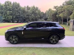 Lynk & Co 08 EM-P 120km long range Plus - фото 19