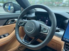 Lynk & Co 09 EM-P 2.0TD EM-P four-wheel drive ULTRA six-seater - фото 20