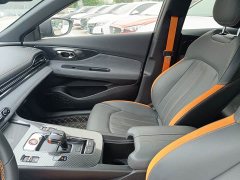 Trumpchi Shadow Leopard 270T DCT J16 R-style track version - фото 6