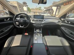 Ruicheng CC Blue Whale Edition 1.5T DCT flagship - фото 8