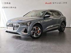 Audi e-tron 2021 50 quattro premium - фото 1