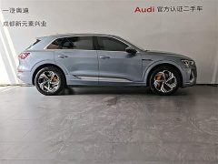 Audi e-tron 2021 50 quattro premium - фото 3
