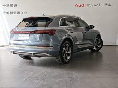 Audi e-tron 2021 50 quattro premium - фото 4