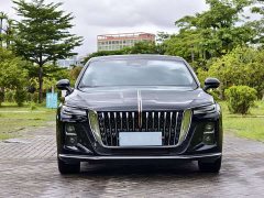 Hongqi H5 2024 2.0T Automatic Zhilianqichang Edition - фото 2