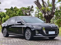 Hongqi H5 2024 2.0T Automatic Zhilianqichang Edition - фото 3