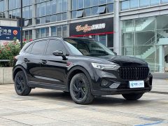 Hongqi HS5 2.0T Zhilian Flagship Edition - фото 3