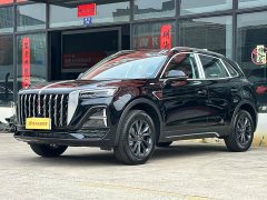 Hongqi HS5 2025 2.0T two-wheel drive Qixiang Pro version - фото 1