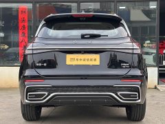 Hongqi HS5 2025 2.0T two-wheel drive Qixiang Pro version - фото 15