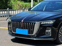 Hongqi H5 2025 2.0T automatic Qichang version - фото 2