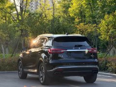 Hongqi HS5 facelift 2.0T Zhilian Flagship Edition - фото 11