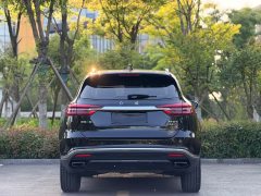 Hongqi HS5 facelift 2.0T Zhilian Flagship Edition - фото 13