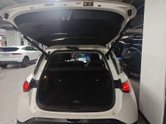 smart Elf #1 Premium Edition - фото 19