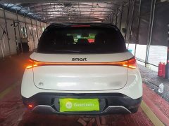 smart Elf #1 2022 Premium Edition - фото 6