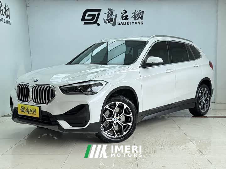 Hongqi H9 2.0T Smart connection Qichang Edition - автомобиль из Китая