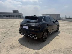 Hongqi HS5 2023 2.0T Qixiang Pro version - фото 8