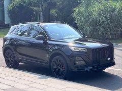 Hongqi HS5 2025 2.0T two-wheel drive Xuanying Edition - фото 3