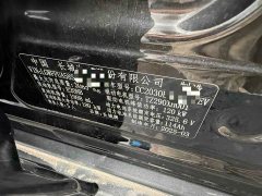 Tank 300 New Energy Hi4-T 37.1kWh - фото 9