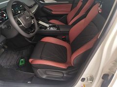 Ford EADO 2024 PLUS Blue Whale NE 1.4T GDI DCT High Energy Edition - фото 15