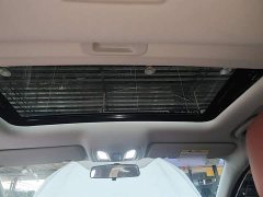 Ford EADO 2024 PLUS Blue Whale NE 1.4T GDI DCT High Energy Edition - фото 18