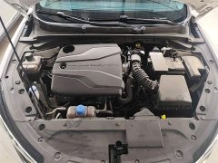 Ford EADO 2024 PLUS Blue Whale NE 1.4T GDI DCT High Energy Edition - фото 20