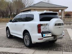 Tank 500 3.0T sports version, environment type, 5 seats - фото 14