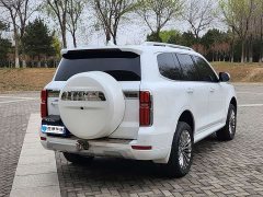 Tank 500 3.0T sports version, environment type, 5 seats - фото 15