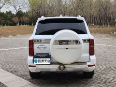 Tank 500 3.0T sports version, environment type, 5 seats - фото 16