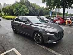 Ruicheng PLUS 2023 1.5T DCT pilot - фото 3