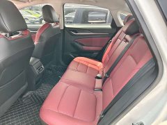 Ford EADO PLUS Blue Whale NE 1.4T GDI DCT Premium Type - фото 11