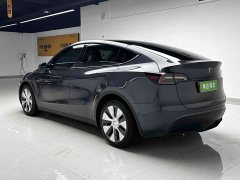 Tesla Model Y Long Range Edition 3D7 - фото 6