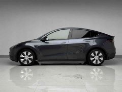Tesla Model Y Long Range Edition 3D7 - фото 7