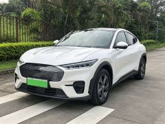 Ford Electric Horse 2021 Rear-wheel drive version (standard range) - фото 1