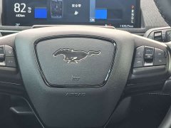 Ford Electric Horse 2021 Rear-wheel drive version (standard range) - фото 13
