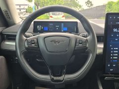 Ford Electric Horse 2021 Rear-wheel drive version (standard range) - фото 14