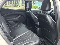 Ford Electric Horse 2021 Rear-wheel drive version (standard range) - фото 15